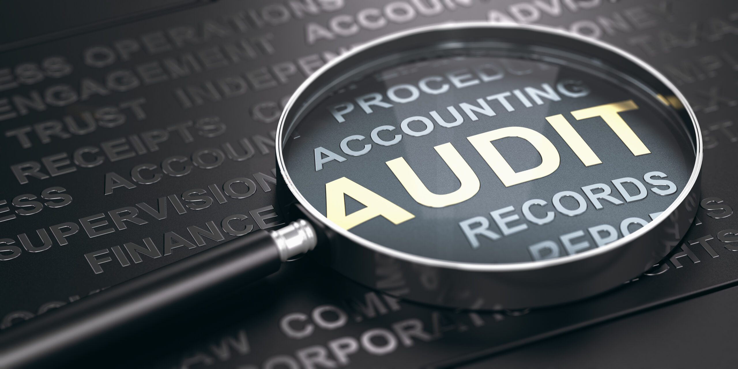 Financial Auditing Services
